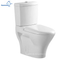 Aquakubische Sanitärwaren mit zwei Flush-Ventilen ein Stück weißer Keramik-Toilette